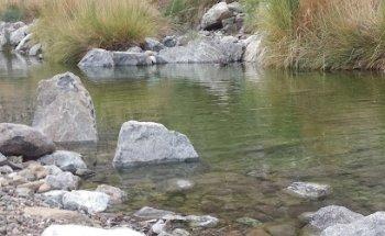 Al Safina Travel & Tourism