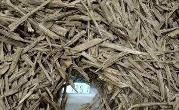 الصفا للسياحة