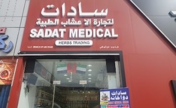 Dream View Typing Services