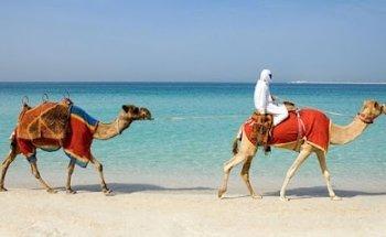 JWD TRAVEL AND TOURISM