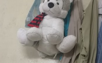 Oberoi Travels & Tourism L.L.C