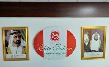Elite Falcon visa Consultant Dubai