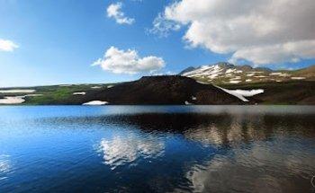 Al Ghaith & Al Moosa Travel Agency