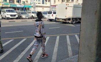 Four Seasons Travels