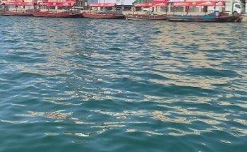 Royal Gulf Tourism LLC