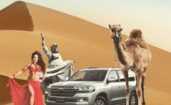 Evening desert adventures