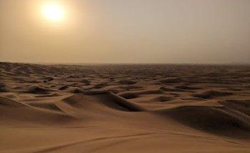 AL SHAMS QASWA TARVEL AND TOURISM LLC