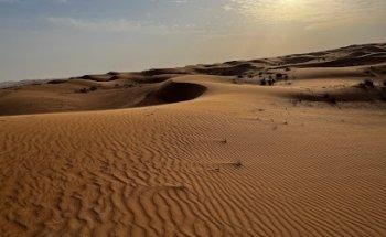 Arabian Desert Tours