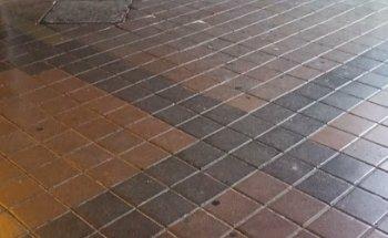 Blue wings travel and tourism