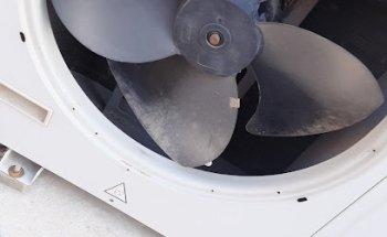 OASAIS TYPING & TRAVEL