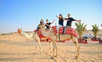 Rayna Tours and Travels