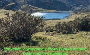 Excursiones a picos de Europa y Tours privados