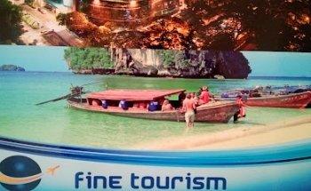 Fine Tourism LLC