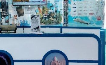 Dealz Nirvana Travel