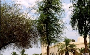 Abdul Jalil Travel Agency