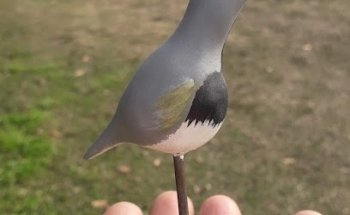 Turismo Colonia Este