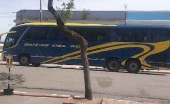 Bus routes agencies Sol, Cot and Cotec