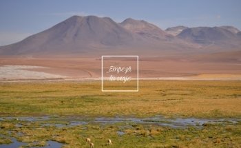 Agencia Etchandy Tecegal