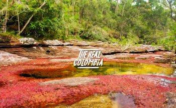 The Real Colombia - Agencia de viajes a Colombia