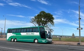 Acland & Scala Dolores