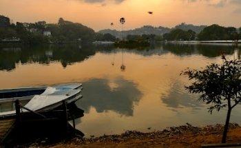 Designer Travel by Angela Sutcliffe