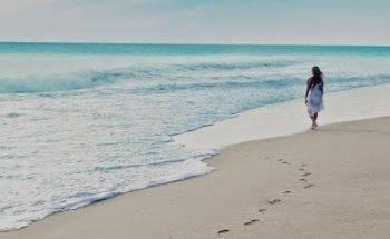 Barefoot Traveller Ltd