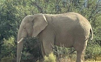 Michelle Stammers - The Travel Genius