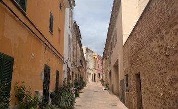 Not Just Travel / Lisa McCallum