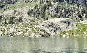 Adventuress In The Wild