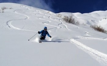 The Off-Piste & Telemark Ski Company