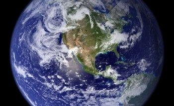 Avocet Travel Management