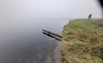 Inspire Travel by Kelly