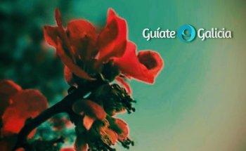 Guíate Galicia