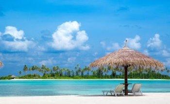 Your Co-op Travel Whetstone