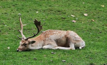 Agência Abreu - Via Catarina Shopping
