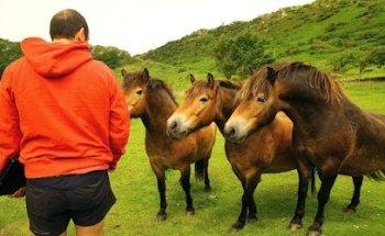 Escape The City Tours