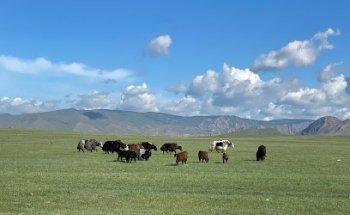 Graham Townsley Travel Counsellor