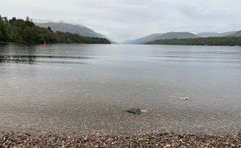 Not Just Travel With Anna