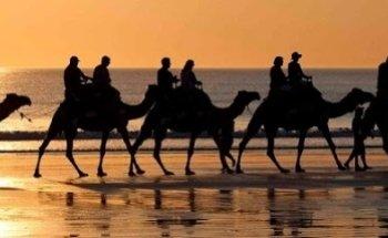 Carlton Atlantic Travel & Events Ltd