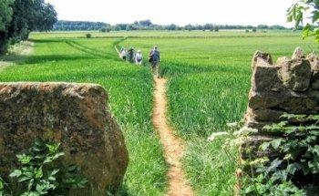 Celtic Trails Walking Holidays