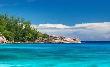 Not Just Travel - Marie Gardner