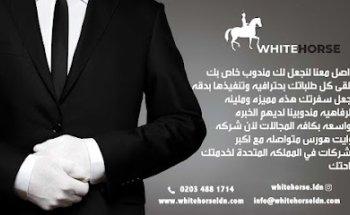 White horse lifestyle management