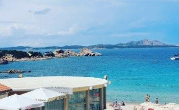 Purple Penguin Travel