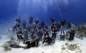 Oyster Diving School London