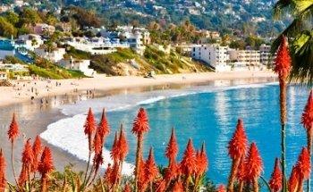 Discover North America - Travel Agent Twickenham