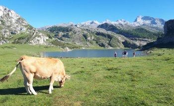 Viajes Mari Ángeles