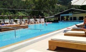 Designer Travel by Angela Briggs