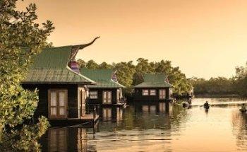 The Gambia Experience