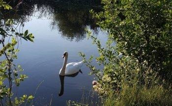 Andrews Shipping & Forwarding Company Unit 26