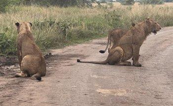 Grassrootz Adventures